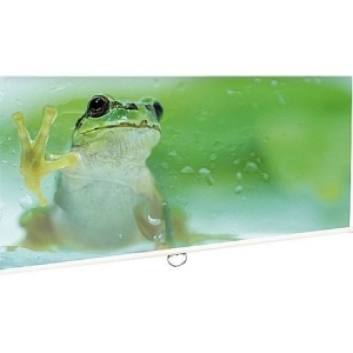 Euroscreen CEL180-UK, Projection Screen