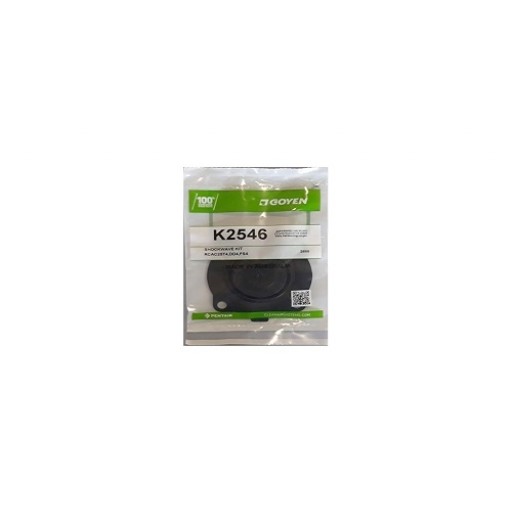 Pentair Goyen K2546, Valve Repair Kit 