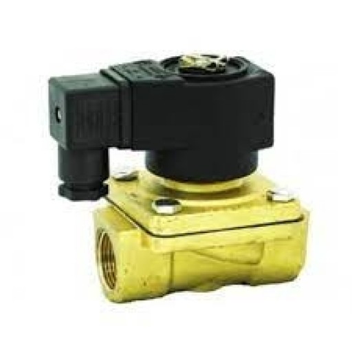 Pentair Goyen 12BW2-EUBNA-6251, Solenoid Valve