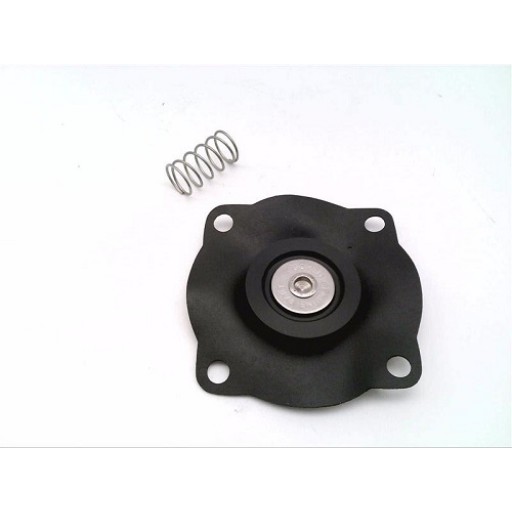 Pentair Goyen K2552, Valve Repair Kit