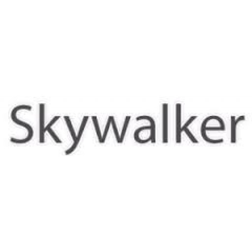 Skywalker Head Filter (5um Size:45mm)