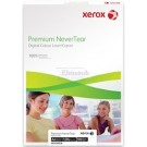 Xerox 003R92342, Premium NeverTear Light Frost 120 Micron A4 X 100 