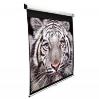 Elite M119XWS1-WHITE Manual Pull Down Projection SCreen