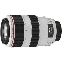 Canon EF 70-300mm f/4-5.6L Is Usm Lens