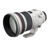 Canon EF 800mm f/5.6L Is Usm Lens