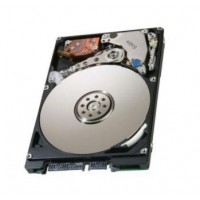 Dell 0PPY4K, 320GB, 5400U/Min SATA II 2,5", Hard Drive