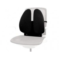 Fellowes FELLOW019, Back Angle Back Support