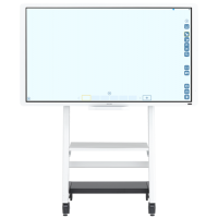 Ricoh D6510, Interactive Whiteboard 