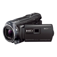 Sony HDR-PJ810E, Camcorder